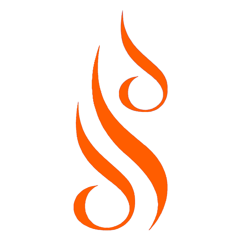Divya School Of Dance logo