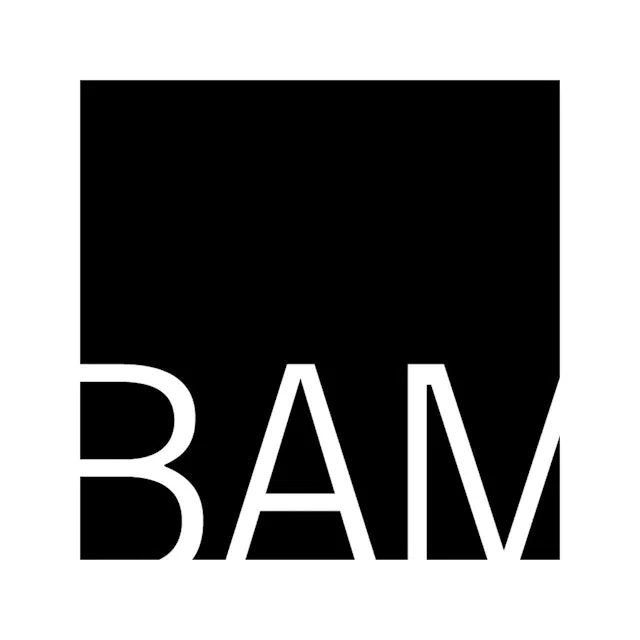 BAM logo